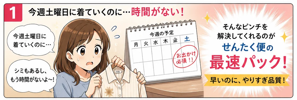 最速パック編